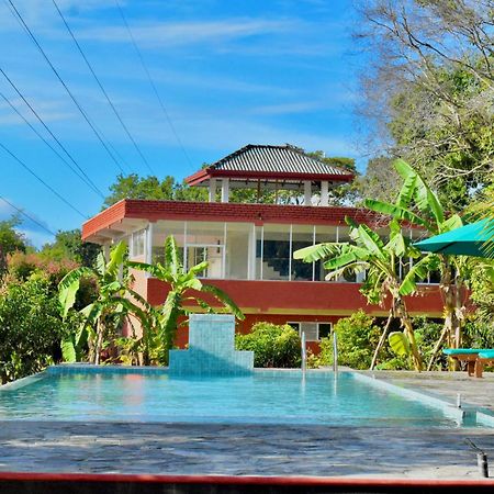 Green Hut Nature Resort سيغيرِيا المظهر الخارجي الصورة