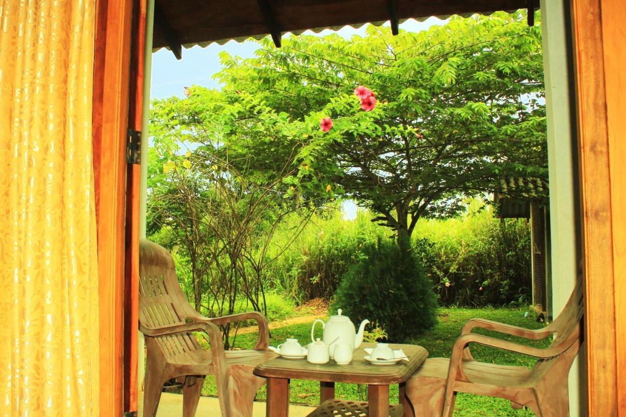 Green Hut Nature Resort سيغيرِيا المظهر الخارجي الصورة