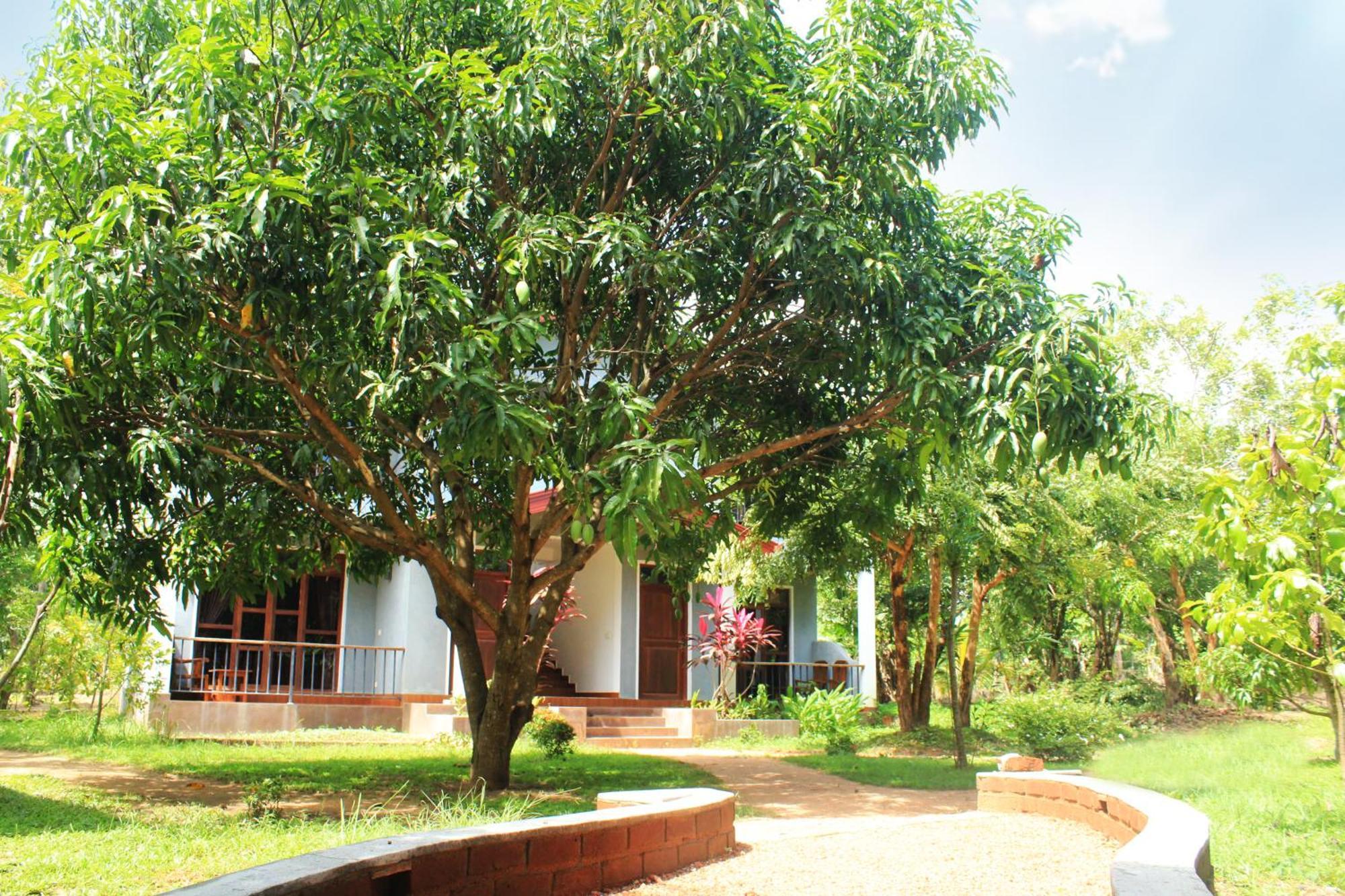 Green Hut Nature Resort سيغيرِيا المظهر الخارجي الصورة