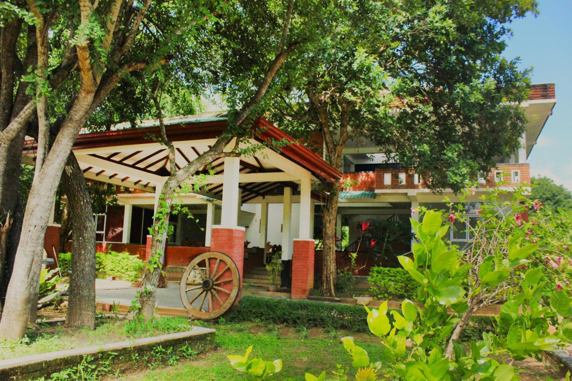 Green Hut Nature Resort سيغيرِيا المظهر الخارجي الصورة