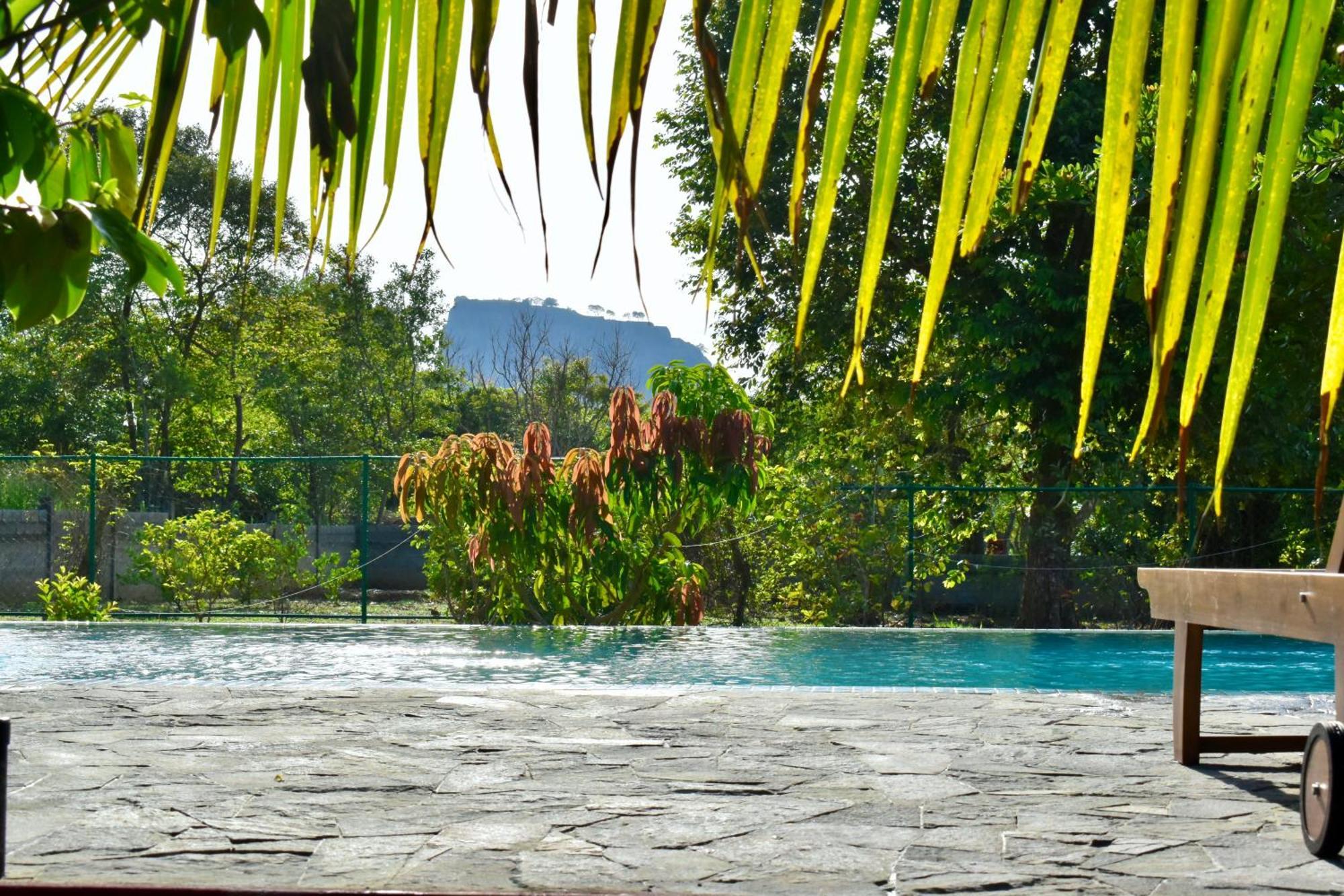 Green Hut Nature Resort سيغيرِيا المظهر الخارجي الصورة