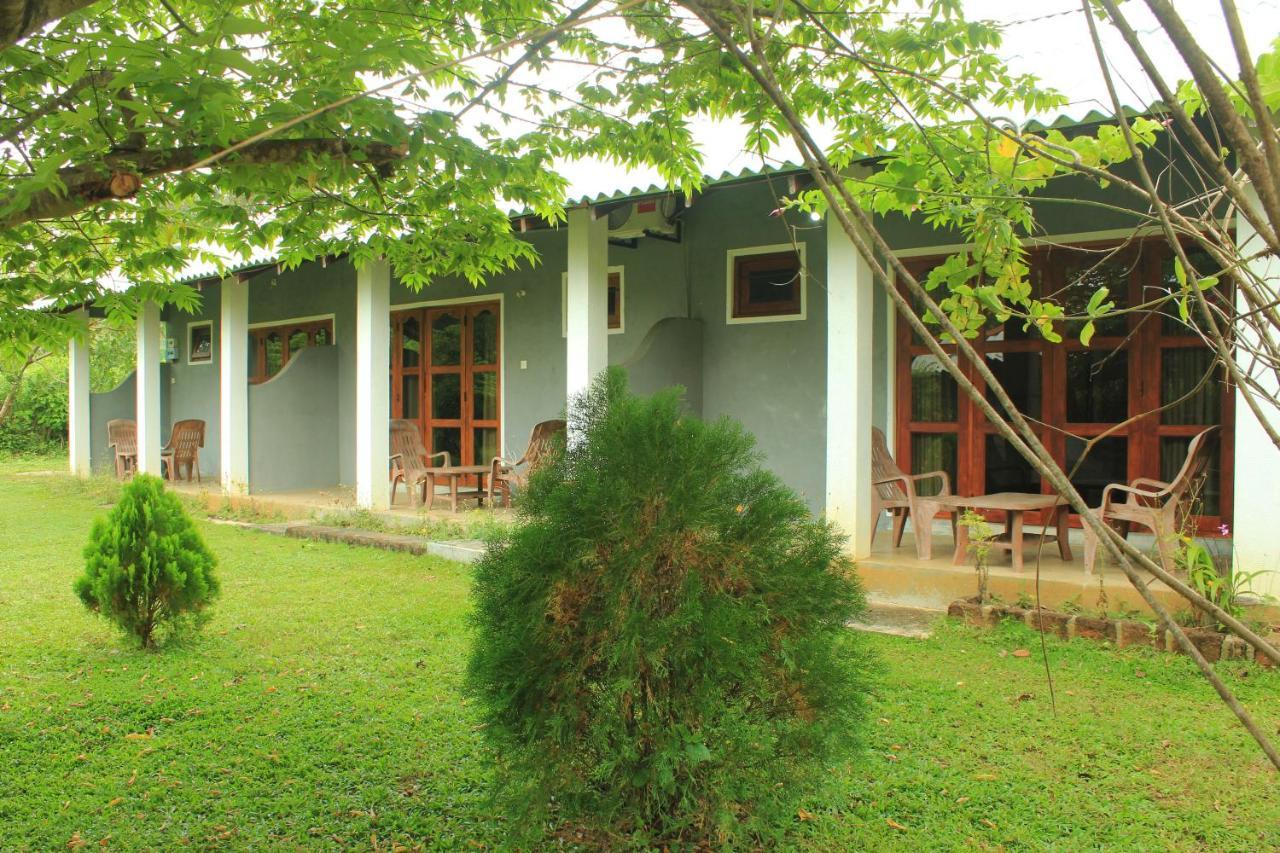 Green Hut Nature Resort سيغيرِيا المظهر الخارجي الصورة